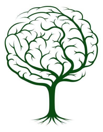grow-your-brain