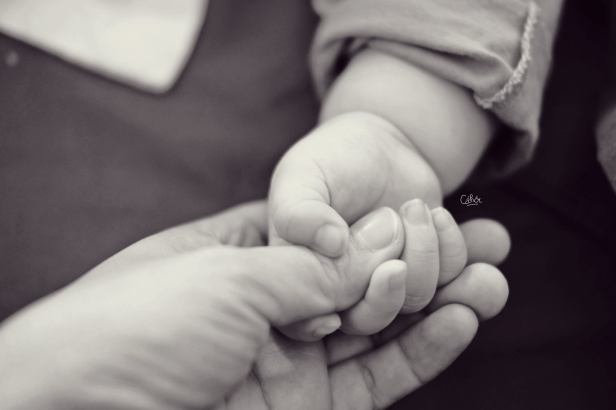 26060311_1751993198192428_7858539780922376685_o