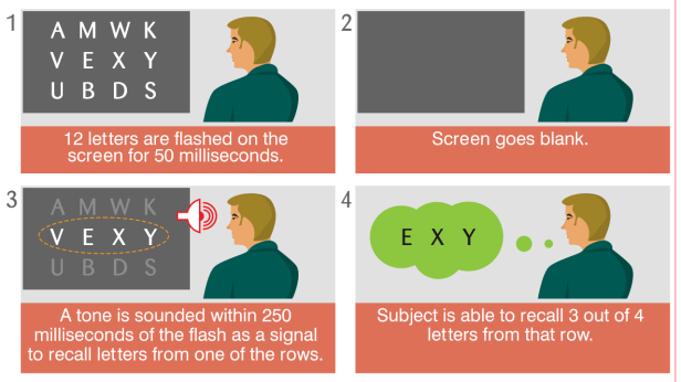1280-george-sperling-cued-recall-experiment-on-iconic-memory
