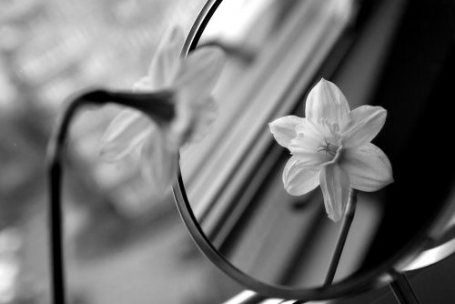 narcissistic-parents-500x334